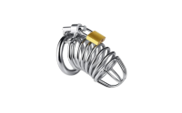Chastity Cage